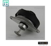 TRISCAN 8813 24202 EGR valve