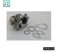 TRISCAN 8813 28019 EGR valve