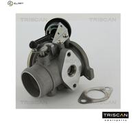 TRISCAN 8813 29022 EGR valve