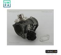 TRISCAN 8813 29036 EGR valve