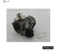 TRISCAN 8813 29036 EGR valve