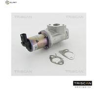 TRISCAN 8813 43021 EGR valve
