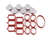 EGR Valve Blanking Plate for BMW M57 530D 330D 335D X5 X6 Part Diesel Swirl Blanks Flaps Repair Delete Kit with Air Intake Manifold Gaskets 6X32MM Bungs