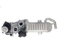 EGR valve BORG WARNER 710861D for AUDI A3 (8P1) 2 2006-2012