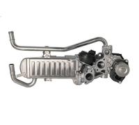 EGR valve BORG WARNER 710863D/1 for VW POLO V (6R1, 6C1) 1.2 2009-2014