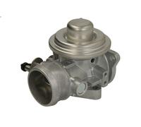 EGR valve BORG WARNER 7283D for SEAT LEON (1P1) 1.9 2005-2010