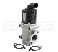 DELPHI EG10403-12B1 EGR valve