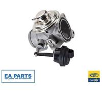 EGR Valve for AUDI A4 A6 MAGNETI MARELLI 571822112076