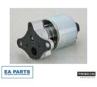 EGR Valve for CHEVROLET AVEO BEAT MATIZ SPARK TRISCAN 8813 21001