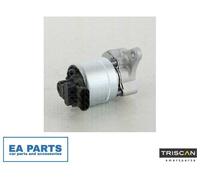 EGR Valve for CITROËN C5 DISPATCH XSARA TRISCAN 8813 28008