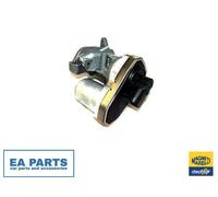 EGR Valve for CITROËN JUMPER II Bus RELAY II Bus MAGNETI MARELLI 571822112038