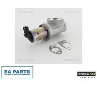 EGR Valve for HYUNDAI AVANTE ELANTRA GT i20 i30 TRISCAN 8813 43021