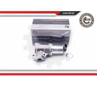 EGR Valve for HYUNDAI KIA:TB,i30,GETZ,i30 I,CLICK 284102A120
