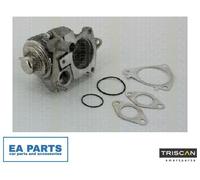 EGR Valve for IVECO DAILY MASSIF Pickup MASSIF Single Cab TRISCAN 8813 28019