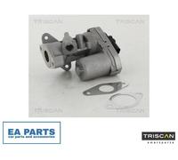 EGR Valve for LAND ROVER DEFENDER Cabrio DEFENDER Pick Up TRISCAN 8813 10002