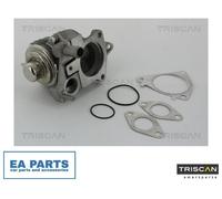 EGR Valve for PEUGEOT BOXER Bus MANAGER Bus TRISCAN 8813 28019
