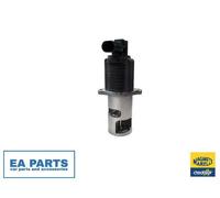 EGR Valve for RENAULT AVANTIME ESPACE LAGUNA MASTER MAGNETI MARELLI 571822112010