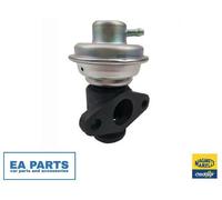 EGR Valve for RENAULT CLIO LAGUNA MASTER SCÉNIC MAGNETI MARELLI 571822112113