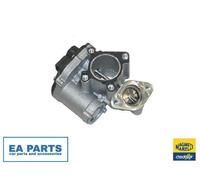 EGR Valve for RENAULT ESPACE GRAND SCÉNIC KOLEOS MAGNETI MARELLI 571822112043