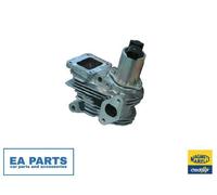 EGR Valve for RENAULT GRAND SCÉNIC MAGNETI MARELLI 571822112044