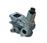 EGR VALVE FOR RENAULT GRAND SCÉNIC MAGNETI MARELLI 571822112044