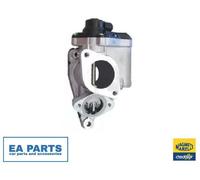 EGR Valve for RENAULT LAGUNA MEGANE SCÉNIC MAGNETI MARELLI 571822112140