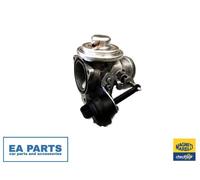 EGR Valve for SEAT CORDOBA IBIZA MAGNETI MARELLI 571822112048