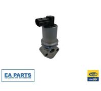 EGR Valve for SEAT EXEO MAGNETI MARELLI 571822112071