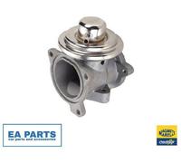 EGR Valve for SKODA FABIA PRAKTIK ROOMSTER MAGNETI MARELLI 571822112082