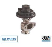 EGR Valve for VW GOLF MEAT & DORIA 88053
