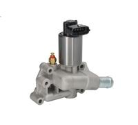 MAGNETI MARELLI 571822112198 EGR valve