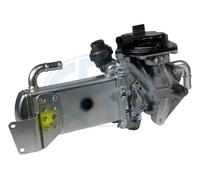 ERA 555106A EGR Module