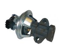 ERA 555341 EGR valve