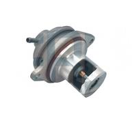 ERA 555430 EGR valve