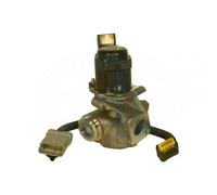 ERA 555014A EGR valve