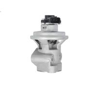 EGR Valve NRF 48711 For MITSUBISHI