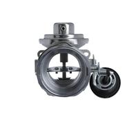 EGR Valve VALEO Fits AUDI A4 A6 FORD Galaxy SEAT Alhambra SKODA VW 00-10 1119320