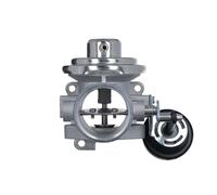 EGR Valve VALEO Fits AUDI A4 A6 FORD Galaxy SEAT Alhambra SKODA VW 95-10 1100628