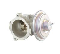 HELLA 6NU 010 171-701 EGR valve