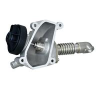 HELLA 6NU 014 865-131 EGR valve