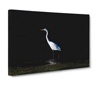 Egret Bird Canvas Print | Gallery Wrapped 30mm Frame Wall Art | 24x16 inches | Ready to Hang | Modern Animals Picture | Living Room Bedroom Lounge Office