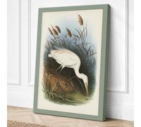 Egret in Shallow Water Canvas Wall Art Print 24x16 Inch (61 x 41 cm)