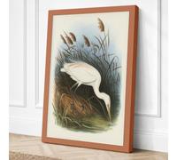 Egret in Shallow Water Canvas Wall Art Print 30x20 Inch (76 x 51 cm)
