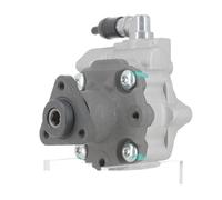 EGUIAS Brake Pump Steering Power Pump Fit for Porsche,Audi,VW Motorcycle Rear Brake Pump(Send us the VIN)
