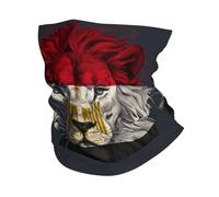 Egypt Egyptians Flag Lion Men Women Neck Gaiter Breathable Headscarf Durable Balaclava For Running Snowboarding Climbing