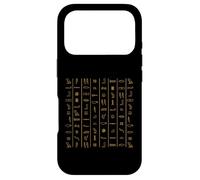 Egypt Hieroglyphics and Egyptian Writing Symbols Case for iPhone 17 Pro