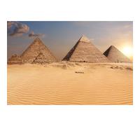 Egypt Pyramids Aquarium Background The Great Pyramid Camel Caravan Terrarium Background The Pyramids Egypt Desert Sunset View Reptile Habitat Background Pyramids Fish Tank Background 48x24in