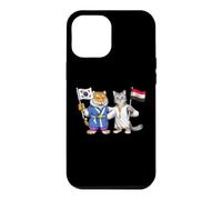Egypt South Korea Flag Egyptian South Korean Roots Case for iPhone 12 Pro Max