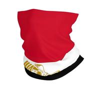 Egyptian flag print Cooling Multi Use Neck Gaiter Men's and Women's Summer Face Mask for Working, Running Sports
