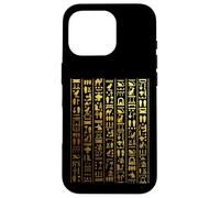 Egyptian Hieroglyphics - Ancient Egypt Case for iPhone 16 Pro